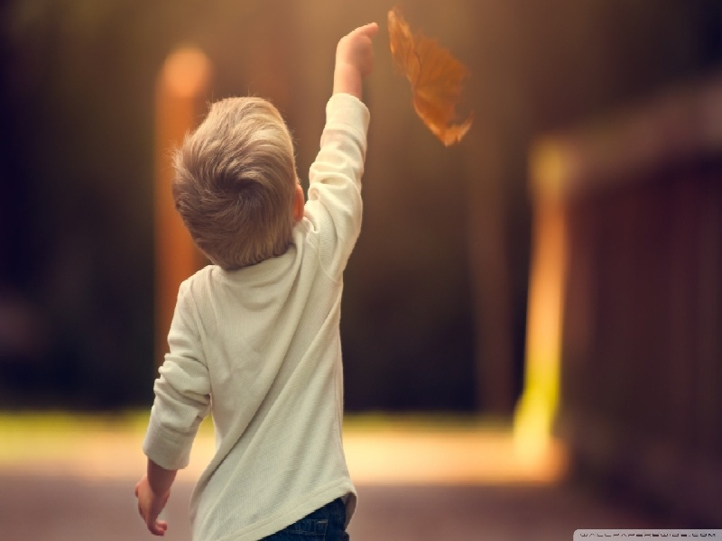 英雄母亲试管生育（佛山生育医院试管）