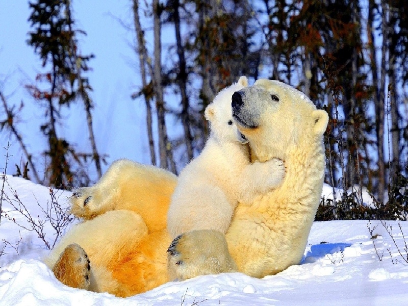 深圳有炎症试管婴儿（泰国试管哪种最好）